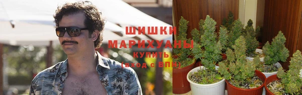 дживик Козельск