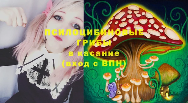 дживик Козельск
