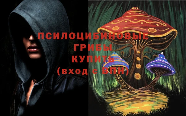 дживик Козельск