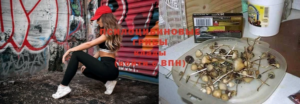 MESCALINE Кодинск