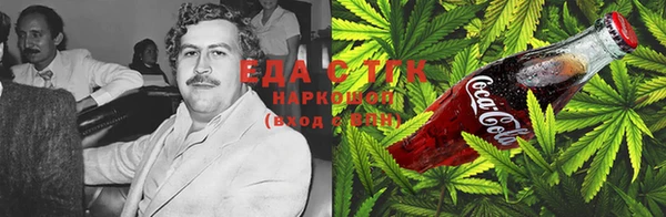 дживик Козельск